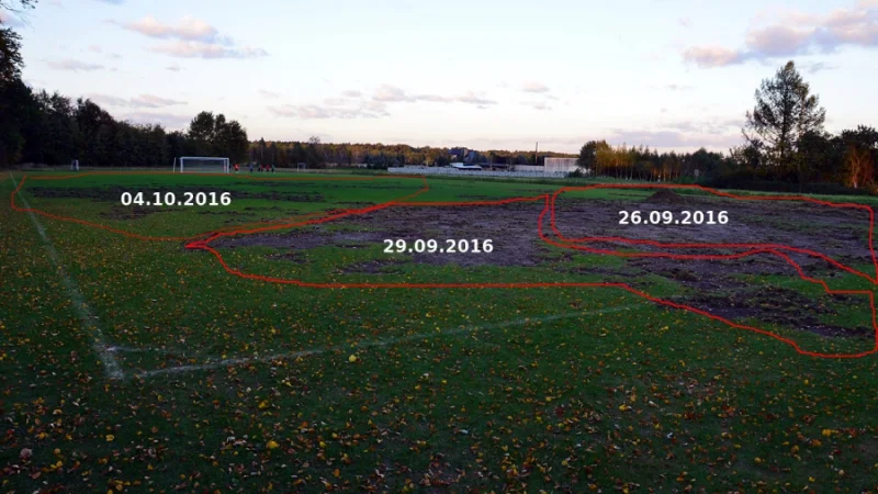 Puk, puk. Kto tam? Dziki. Po co znów przyszłyście? Chcemy pobić rekord Guinessa, a jak nam nie wyjdzie, to chociaż wkur... prezesa.